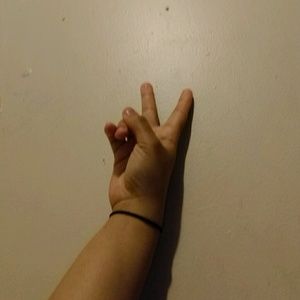 Meet your Posher, Princess